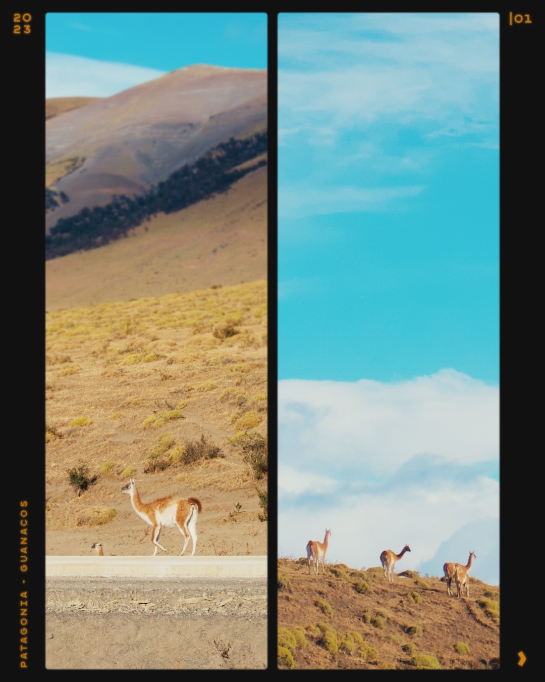 patagonia-2-01